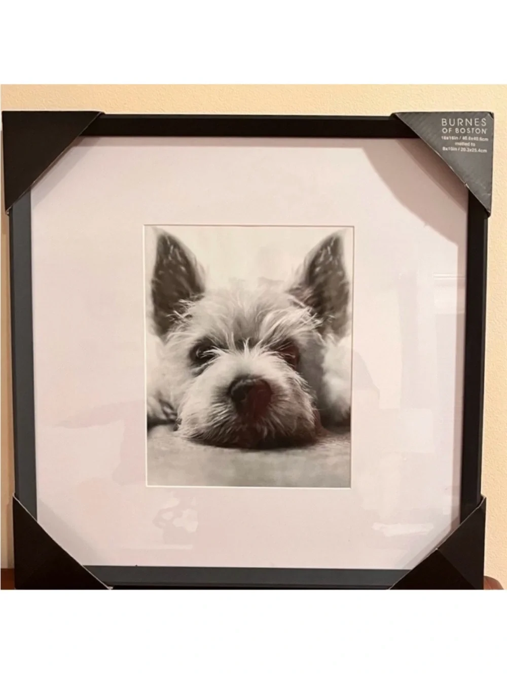🆕- Burnes of Boston 16x16 Black Gallery Picture Frame.